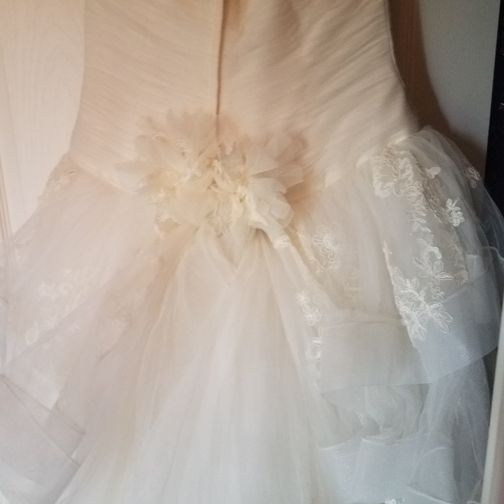 Dress - Picture 6 of 6